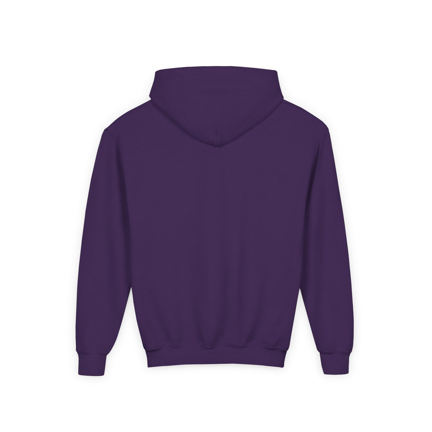 Embroided youth hoodie