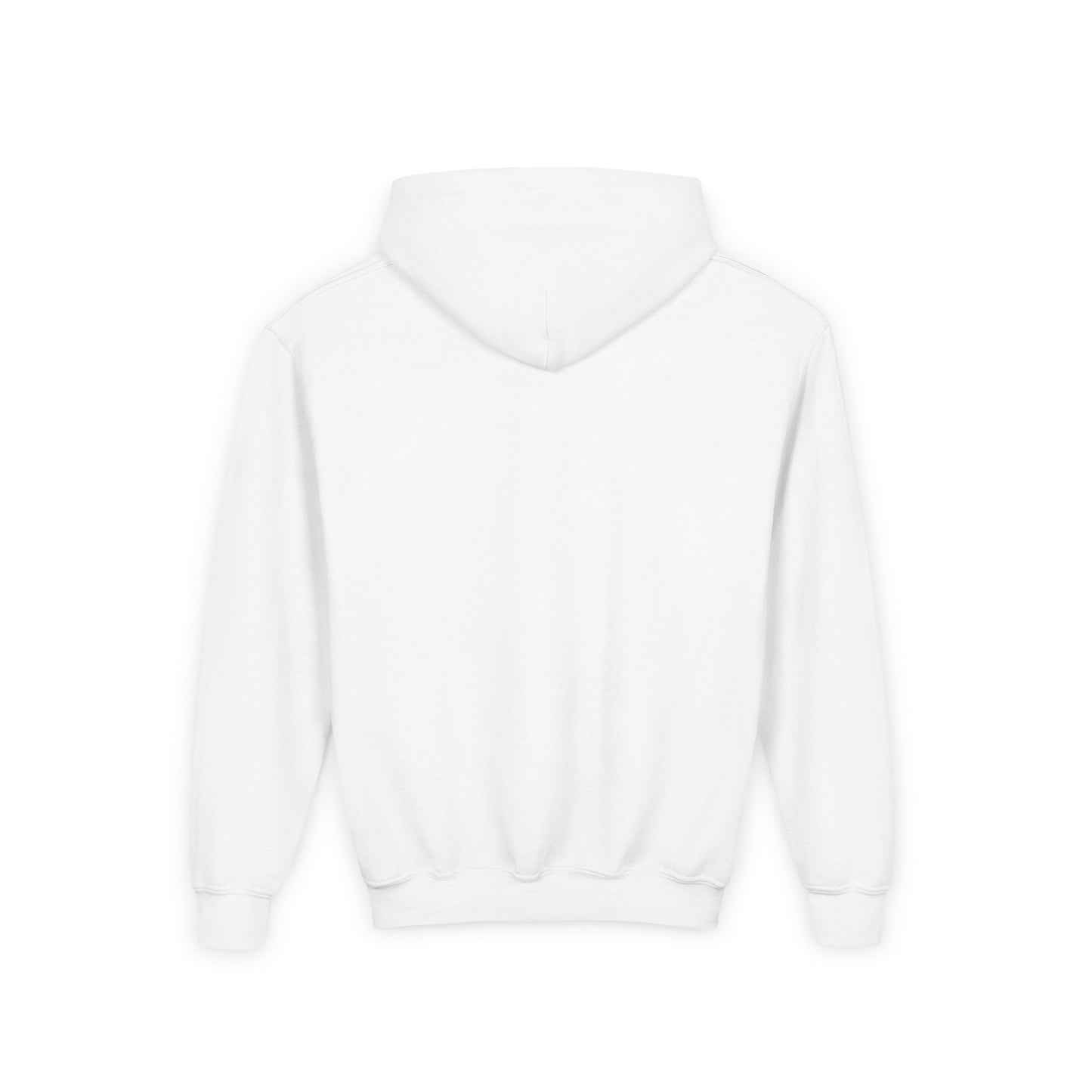 Embroided youth hoodie