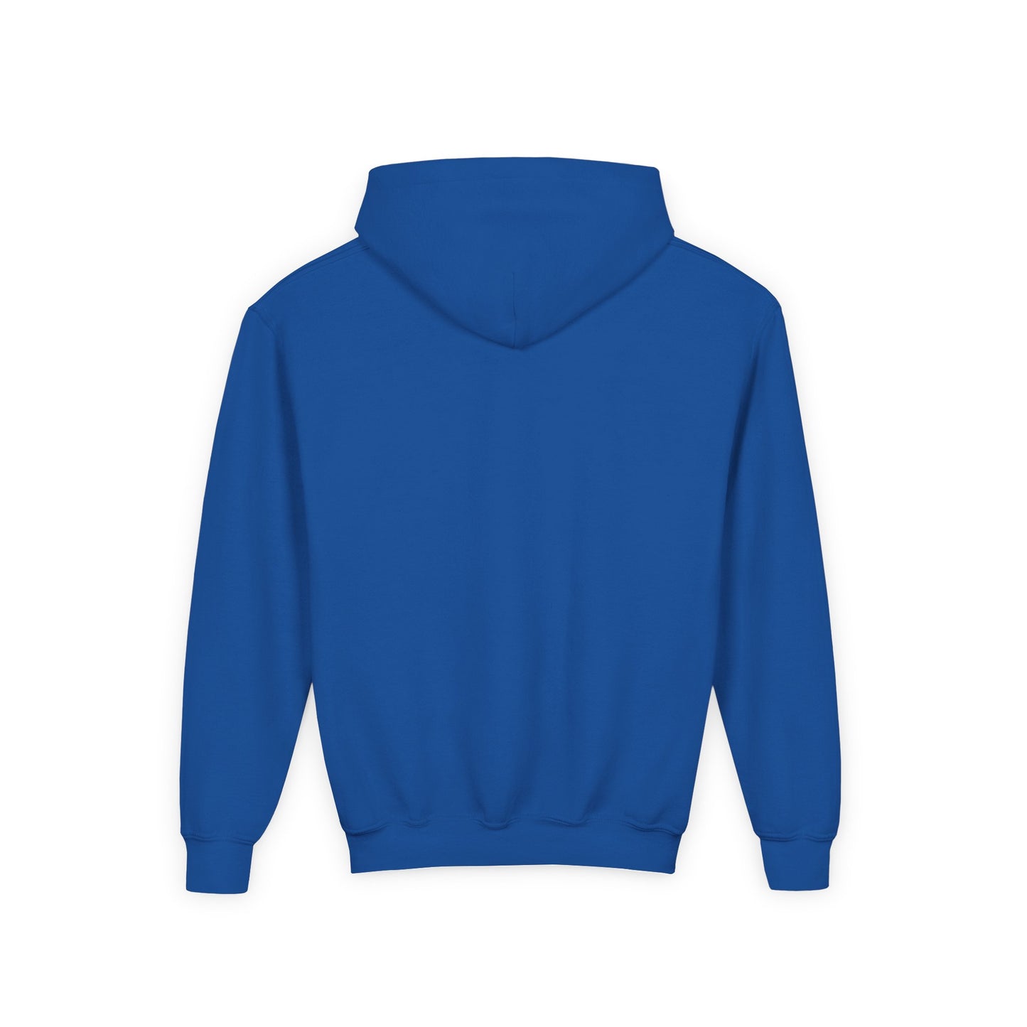Embroided youth hoodie