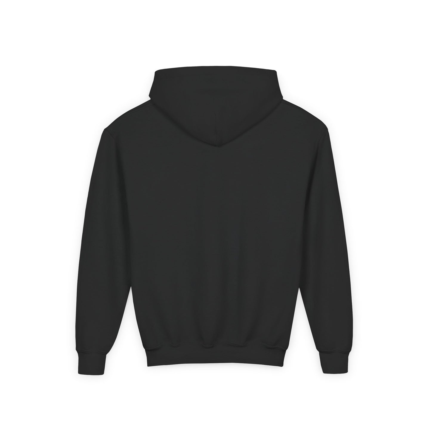 Embroided youth hoodie