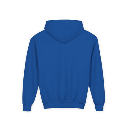 Embroided youth hoodie